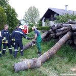 Übung "Arbeiten mit der Kettensäge" am 05.05.2017